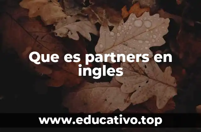 Que es partners en ingles