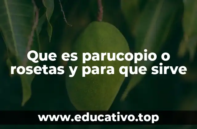 Que es parucopio o rosetas y para que sirve