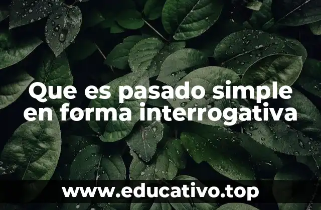 Que es pasado simple en forma interrogativa