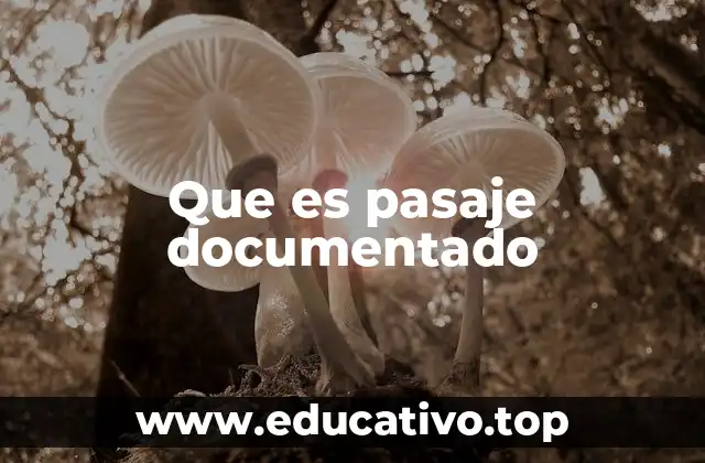 Que es pasaje documentado