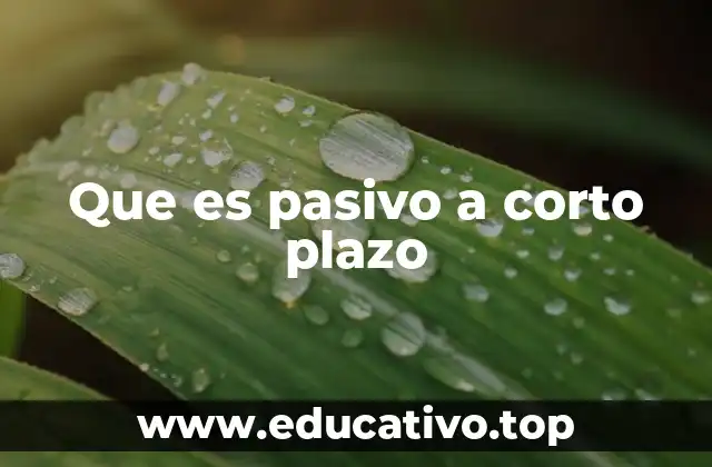 Que es pasivo a corto plazo