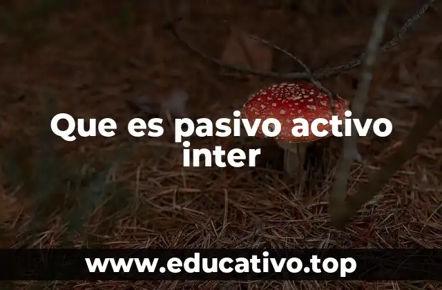 Que es pasivo activo inter