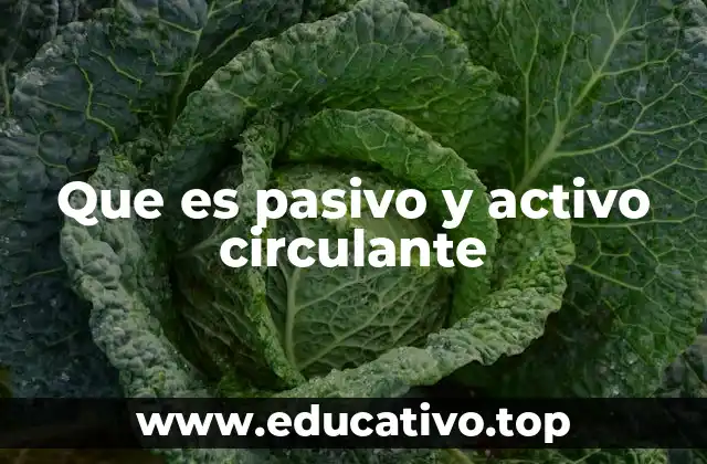 Que es pasivo y activo circulante