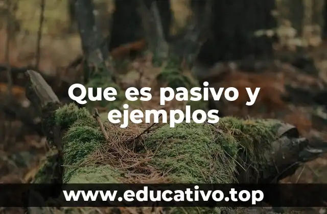 Que es pasivo y ejemplos