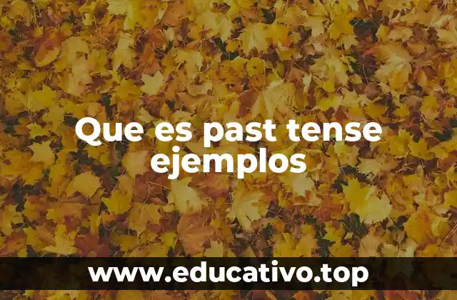 Que es past tense ejemplos