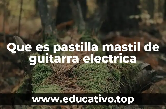 Que es pastilla mastil de guitarra electrica