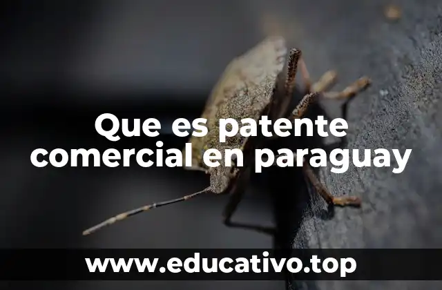 Que es patente comercial en paraguay