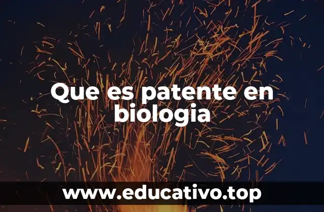 La importancia de las patentes en la investigación científica