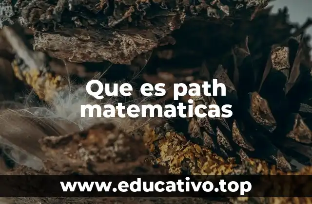 La importancia de los caminos en teoría de grafos