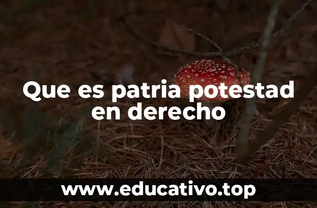 Que es patria potestad en derecho