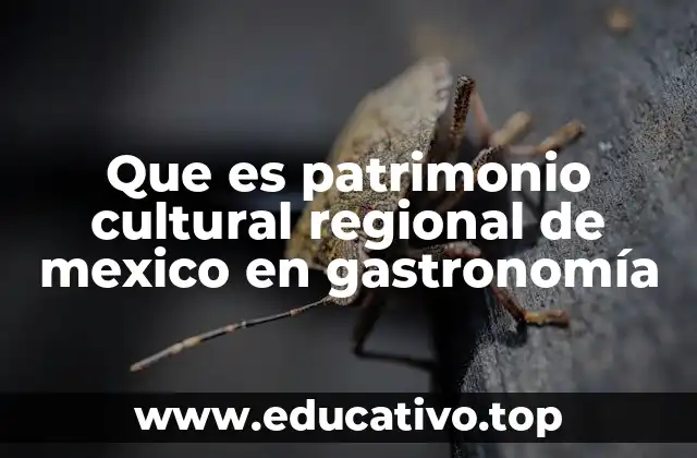 Que es patrimonio cultural regional de mexico en gastronomía