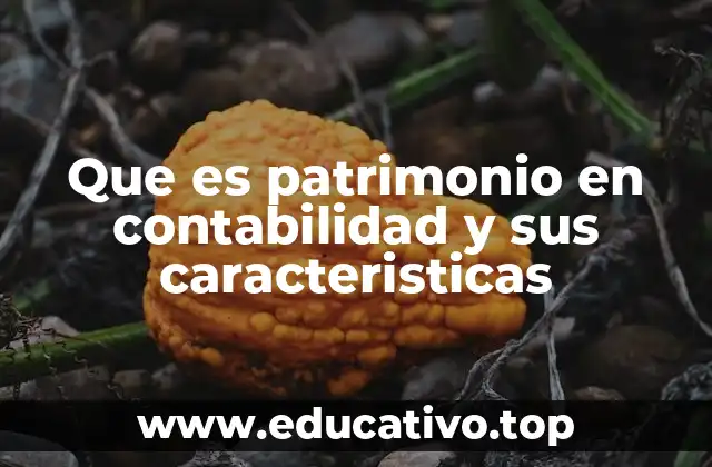 Que es patrimonio en contabilidad y sus caracteristicas