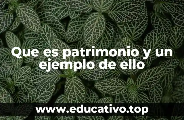 Que es patrimonio y un ejemplo de ello