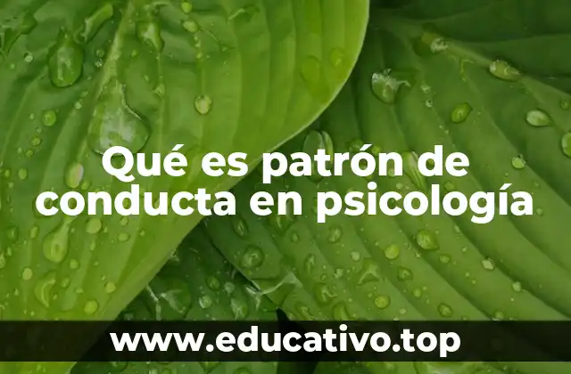 Qué es patrón de conducta en psicología