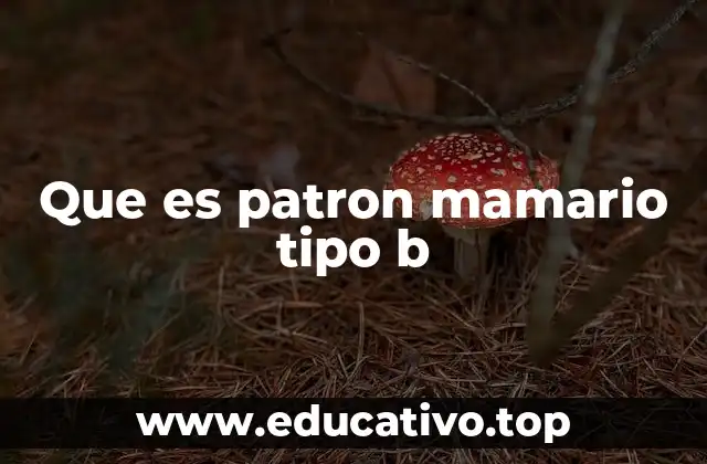Que es patron mamario tipo b