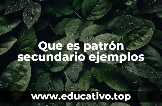 Que es patrón secundario ejemplos