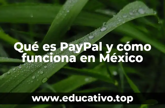 Qué es PayPal y cómo funciona en México