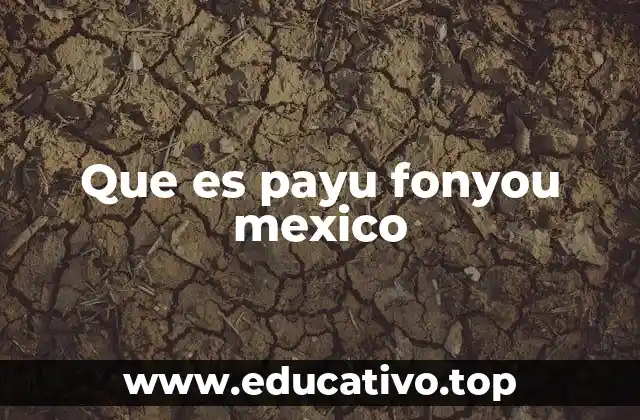 Que es payu fonyou mexico