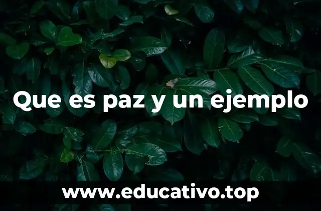 Que es paz y un ejemplo