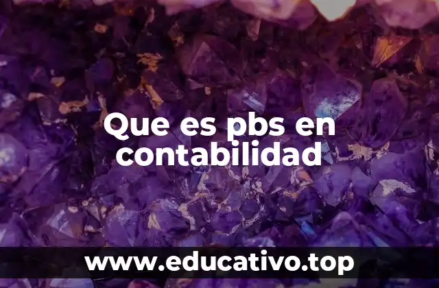 Que es pbs en contabilidad