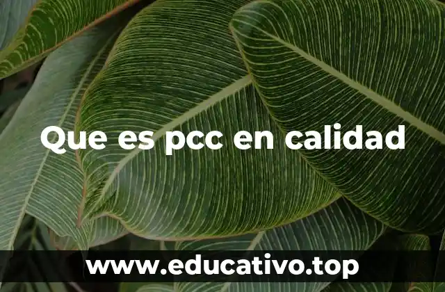La importancia de PCC en la gestión de procesos