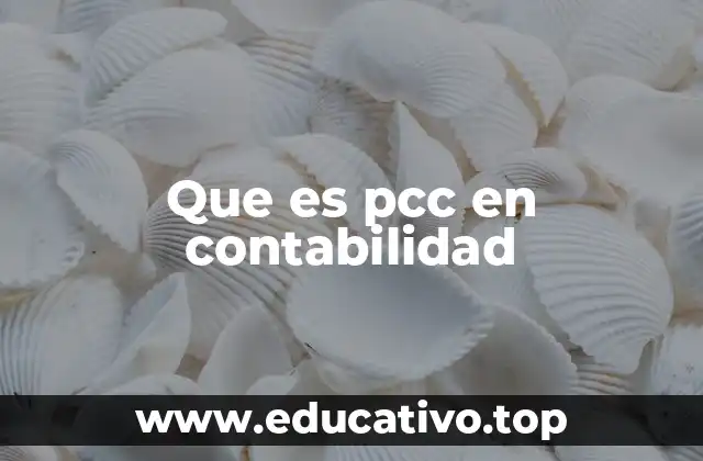 La importancia del Plan Contable de Cuentas en la gestión empresarial
