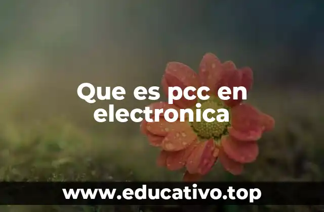 Que es pcc en electronica