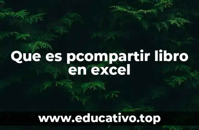 Que es pcompartir libro en excel