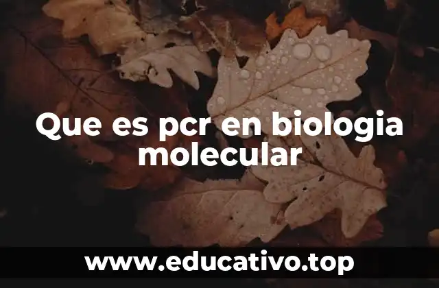 Que es pcr en biologia molecular