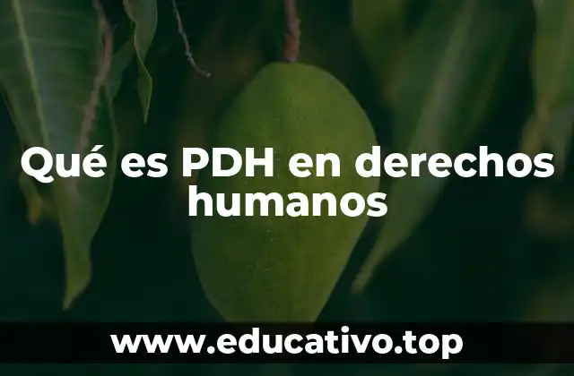 El rol de las instituciones en la defensa de los derechos humanos
