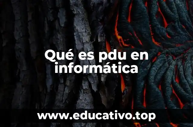 El papel de la PDU en la comunicación de redes