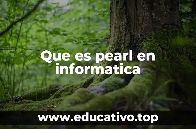 Que es pearl en informatica