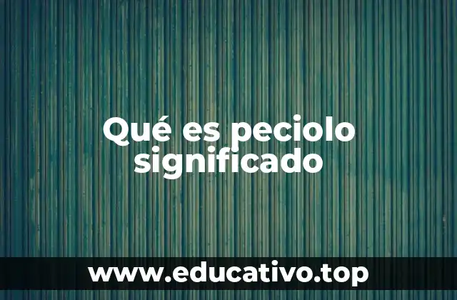 Qué es peciolo significado