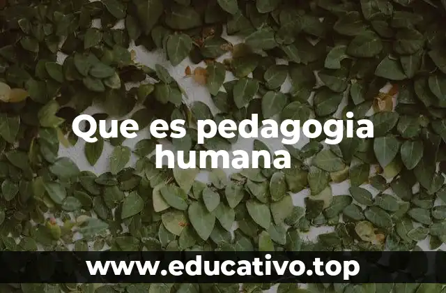 Que es pedagogia humana