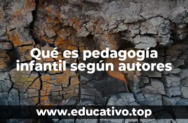 Qué es pedagogía infantil según autores