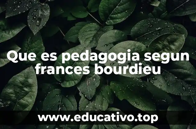 Que es pedagogia segun frances bourdieu