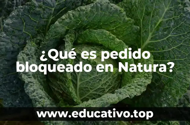 ¿Qué es pedido bloqueado en Natura?