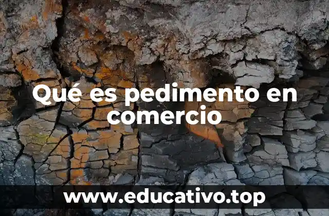 El papel del pedimento en el comercio internacional