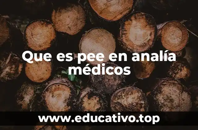La relevancia del PEE en diagnóstico clínico