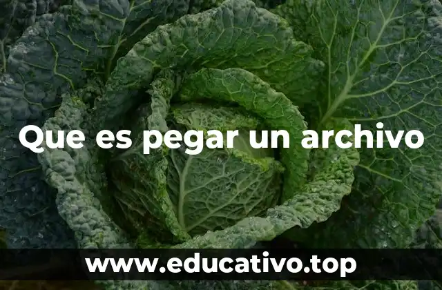 Que es pegar un archivo