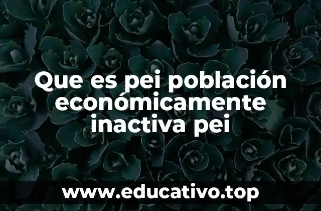 Que es pei población económicamente inactiva pei