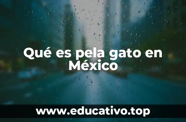 Qué es pela gato en México