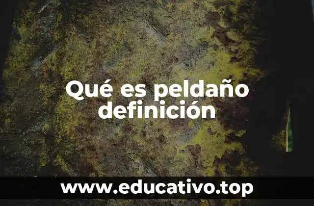 Qué es peldaño definición