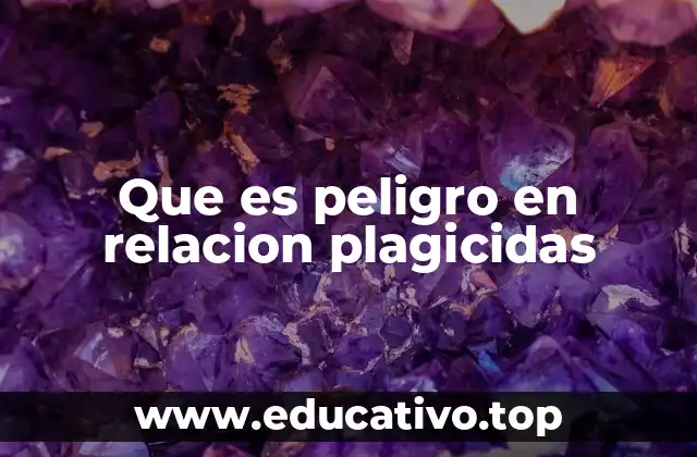 Que es peligro en relacion plagicidas