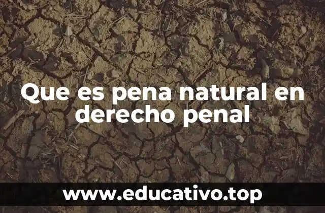 Que es pena natural en derecho penal