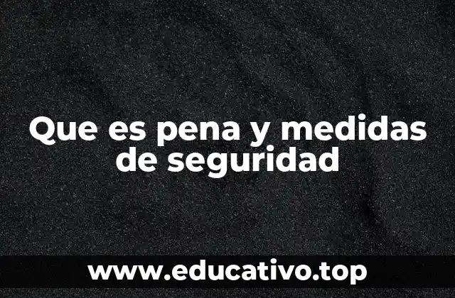 Que es pena y medidas de seguridad