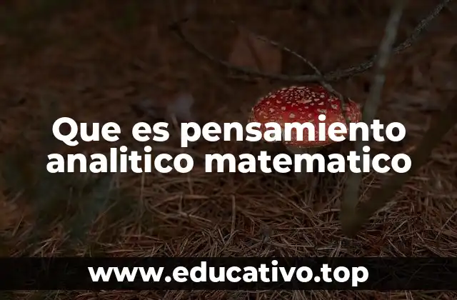 Que es pensamiento analitico matematico
