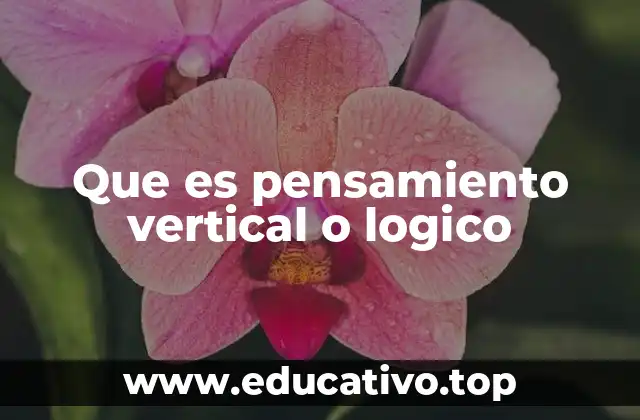 El razonamiento estructurado en el día a día