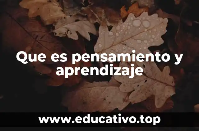 Que es pensamiento y aprendizaje