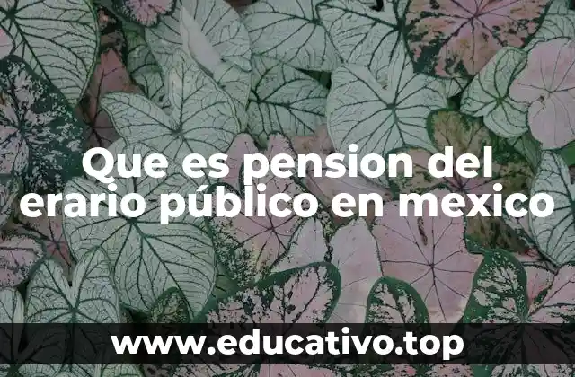 Que es pension del erario público en mexico